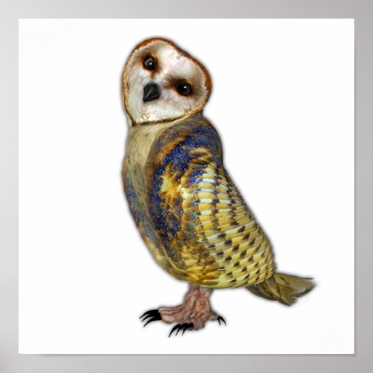 Poster La Chouette à la grange (Devant)