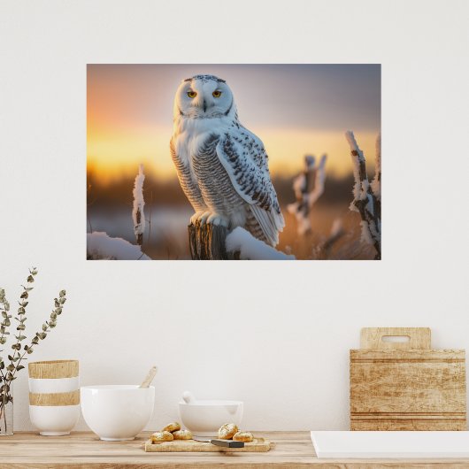 Poster La Chouette des neiges majestueuse perchée sur une (Cuisine)