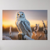 Poster La Chouette des neiges majestueuse perchée sur une (Devant)