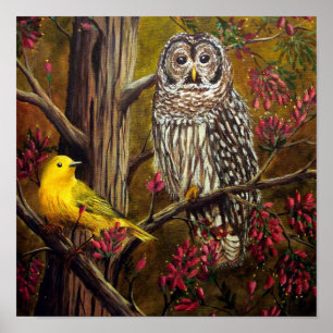 Poster La Chouette et les Canaries