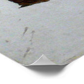 Poster La chute du cowboy (Coin)