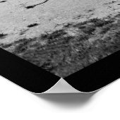 Poster La Citadelle de Charleston, SC 1865 (Coin)