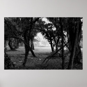 Poster La Clairière - Forêt en noir et blanc