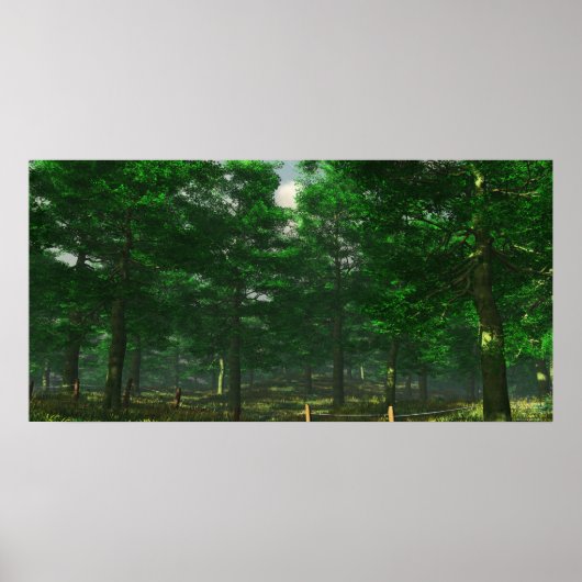 Poster La clarté de la nature - extrême (Devant)