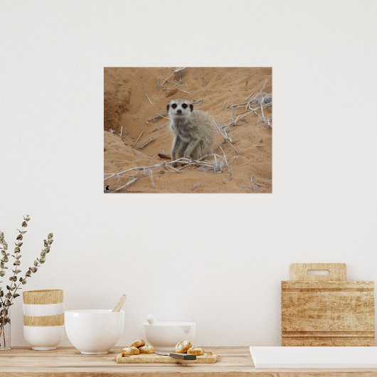 Poster La collection Fluffernutter - Sourire (Cuisine)