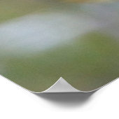 Poster La colombe en deuil (Coin)