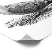 Poster La colombe en deuil (Coin)