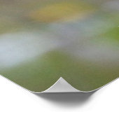 Poster La colombe en deuil (Coin)