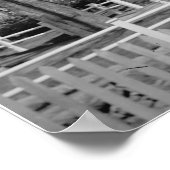 Poster La colonie (Université de Yale) (Coin)