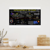 Poster La Comète de la Conception - Apocalypse 12 Signe (Cuisine)