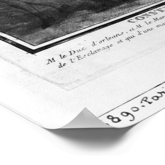 Poster La Constitution française (Coin)