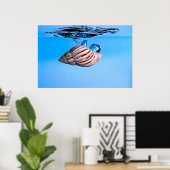 Poster La coque de mer tombe dans l'eau (Bureau à domicile)