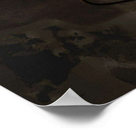 Poster La coquille dans l'obscurité (Coin)