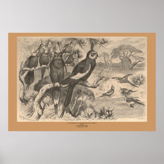 Poster La Corella (Devant)