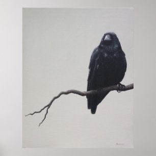 Poster La corneille