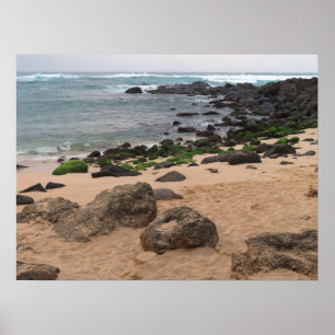 Poster La côte nord d'Oahu et la tortue de mer 
