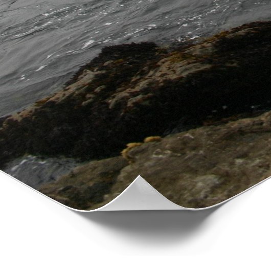 Poster La côte rocheuse (Coin)