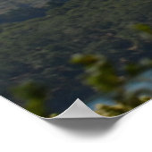 Poster La couche marine (Coin)