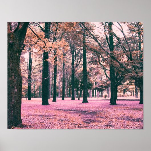 Poster La couleur a affecté les arbres dans le parc Yoyog (Devant)