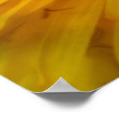 Poster La couleur jaune (Coin)