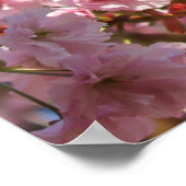 Poster La couleur printanière vive de la floraison de cer (Coin)