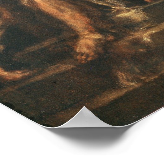 Poster La Courbe aux épines (Coin)