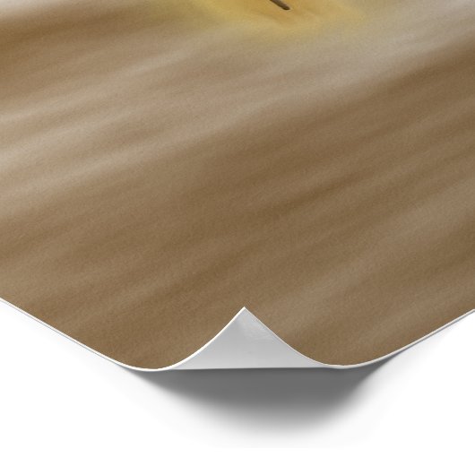 Poster La couronne (Coin)