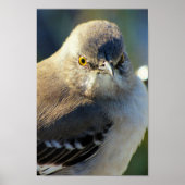 Poster La couronne de Mockingbird (Devant)