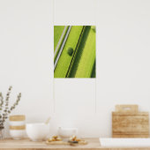 Poster La couverture dans les Hamptons (Cuisine)