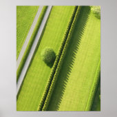 Poster La couverture dans les Hamptons (Devant)