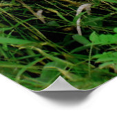 Poster La crête de montagne Ko'olau (Coin)