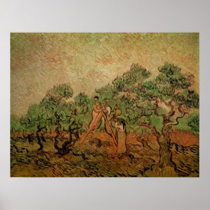 Poster La Cueillette des olives par Vincent van Gogh