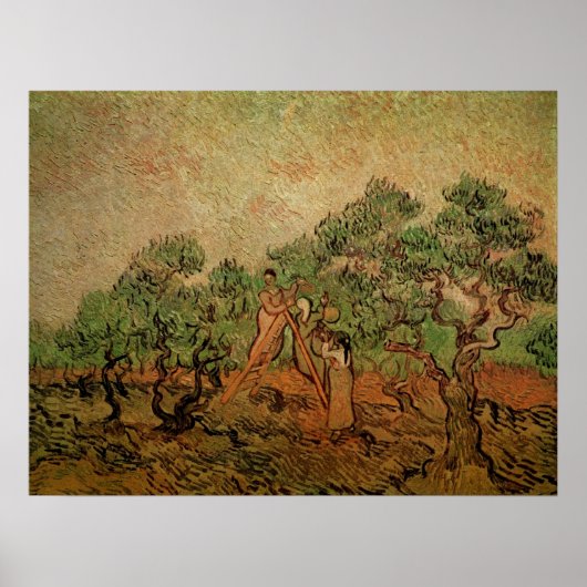 Poster La Cueillette des olives par Vincent van Gogh (Devant)