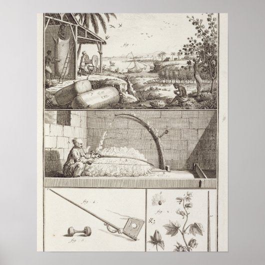 Poster La culture du coton, de l'Encyclopedia (Devant)