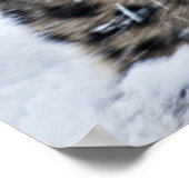 Poster La culture du léopard des neiges (Coin)