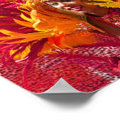 Poster La dame au carnaval (Coin)