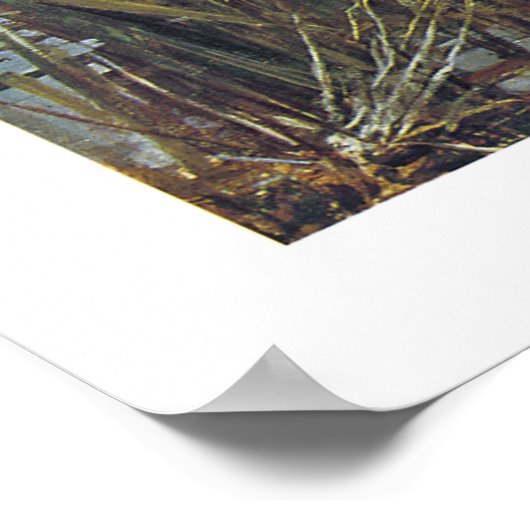 Poster La Dame de Shallot (Coin)