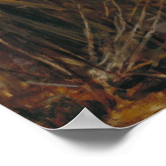 Poster La Dame de Shalott (Coin)