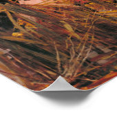 Poster La Dame de Shalott John William Waterhouse (Coin)