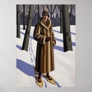 Poster LA DAME DES MONTAGNES (La Dame des Montagnes)