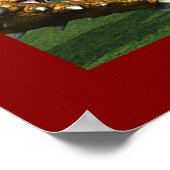 Poster La Dame et le Dragon (Coin)