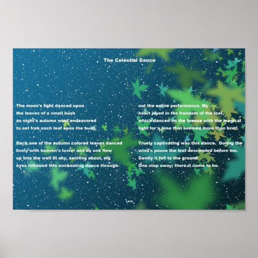 Poster La Danse céleste (Devant)