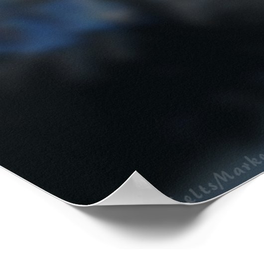 Poster La danseuse (Coin)