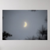 Poster La demi-lune dans la fosse, (Devant)