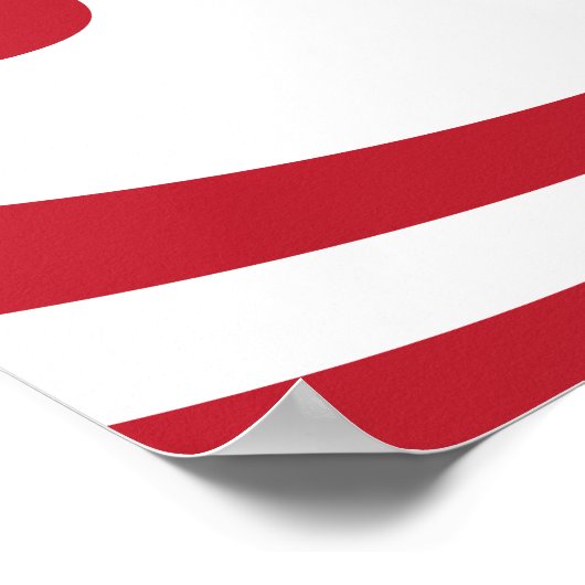 Poster La démocratie nécessite un courage | Drapeau | (Coin)