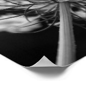 Poster La dentelle de la reine Anne (Coin)