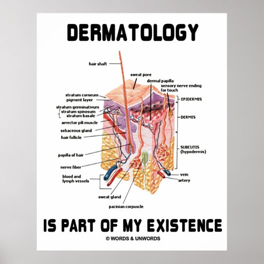 Poster La Dermatologie Fait Partie De Mon Existence (Anat (Devant)