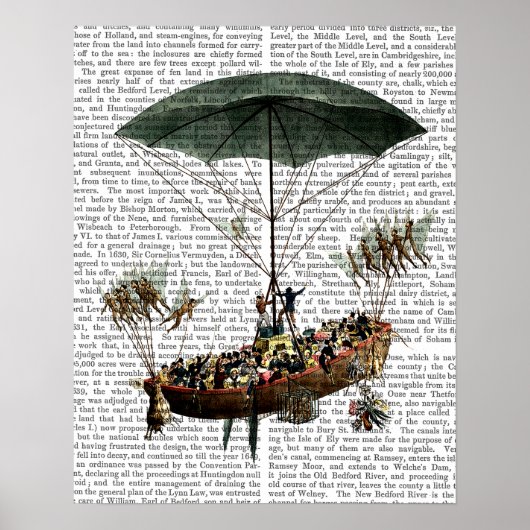 Poster La Diligence Et Les Créatures Volantes (Devant)