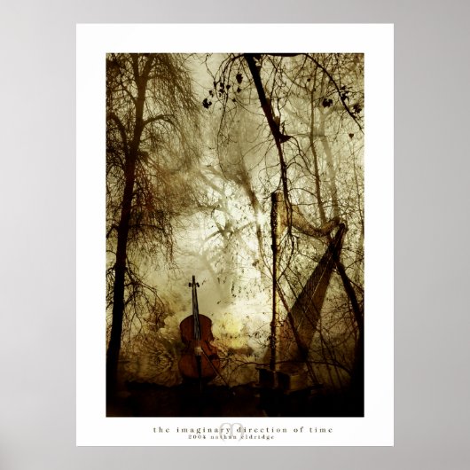 Poster La direction imaginaire du temps (Devant)