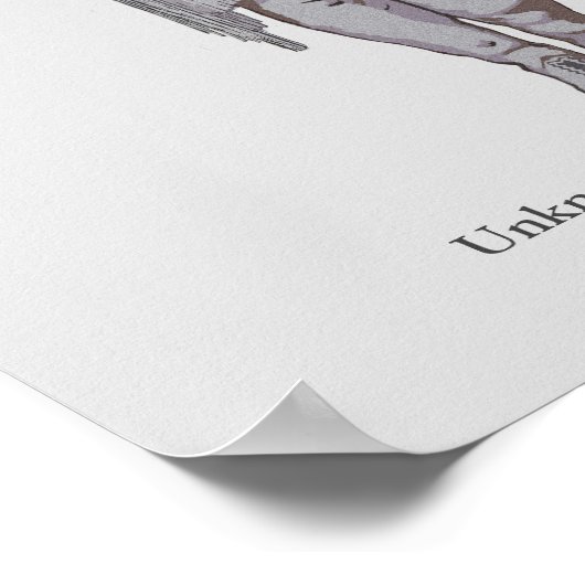 Poster La dirigeante inconnue de Lipan Apache (Coin)